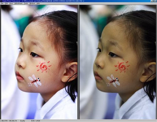 DPP(Digital Photo Professional) 좋군요.