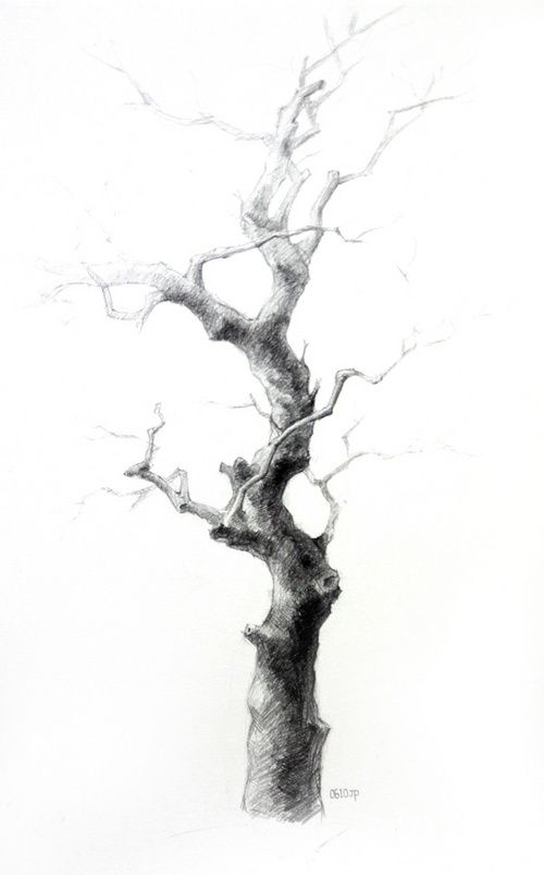 2006. 나무 완성