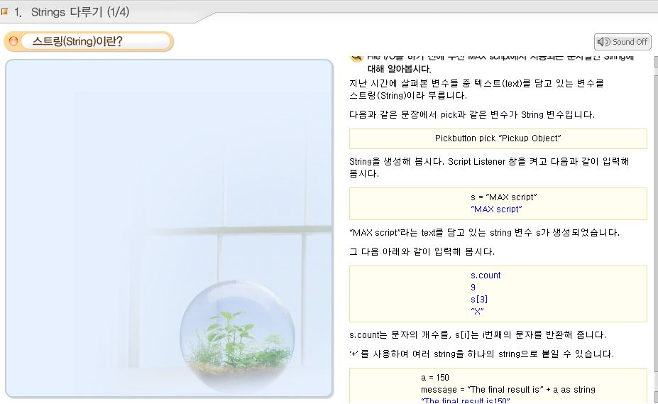 6주차