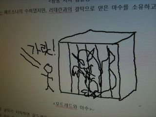 아 바쁘다뇨 냐항항